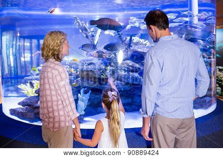 Familly looking at fish tank at the aquarium