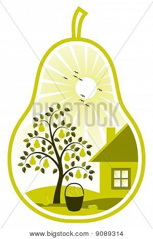 Körtefa és Víkendház körte