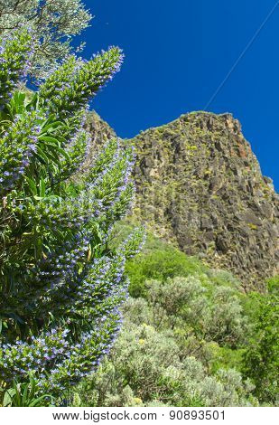 Gran Canaria, Valsequillo Municipality