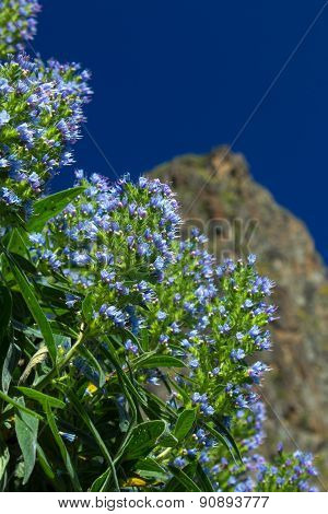 Gran Canaria, Valsequillo Municipality
