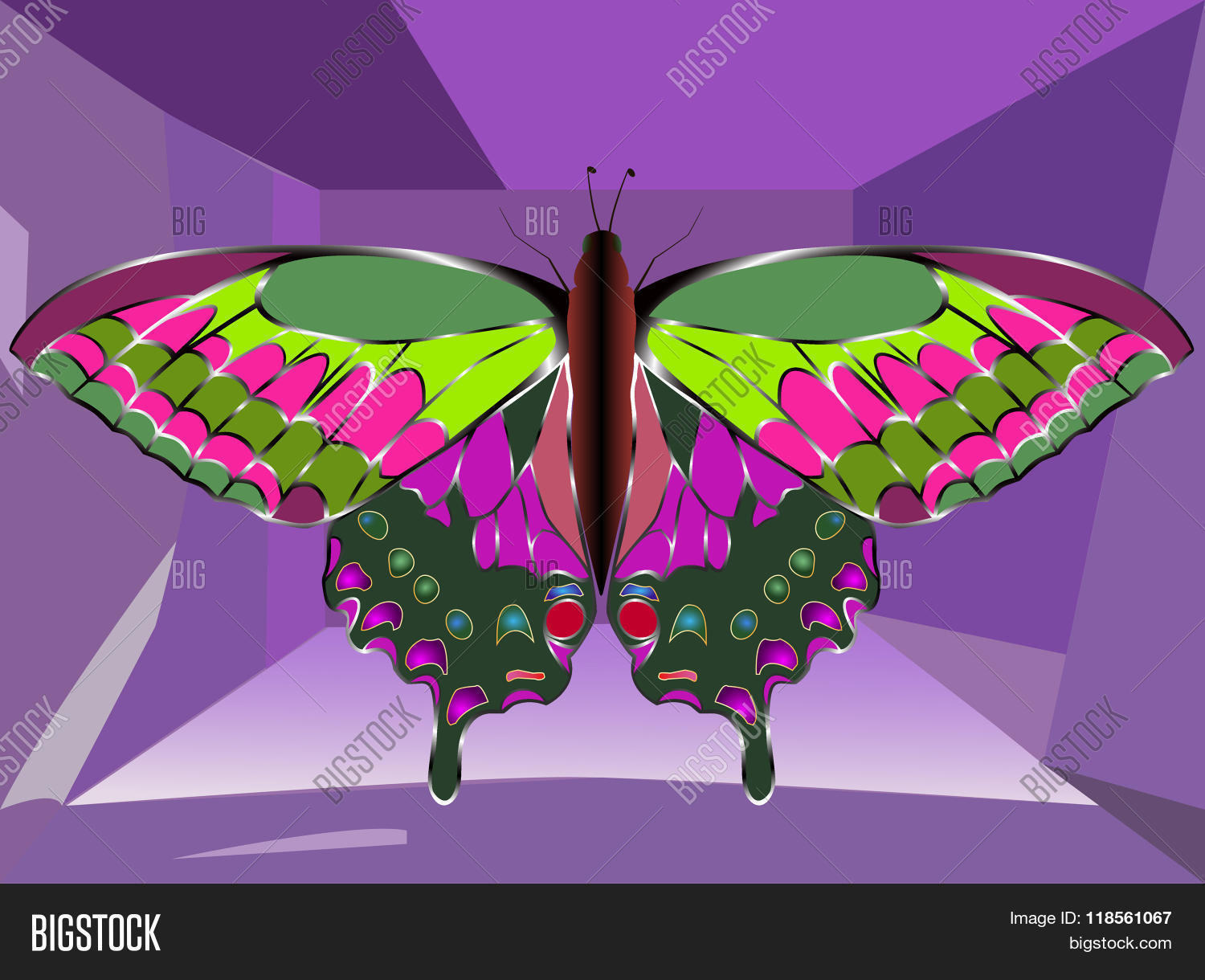 Image Preview