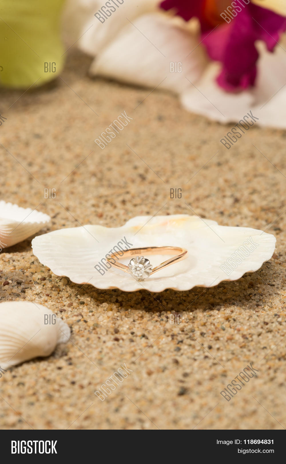 Image Preview