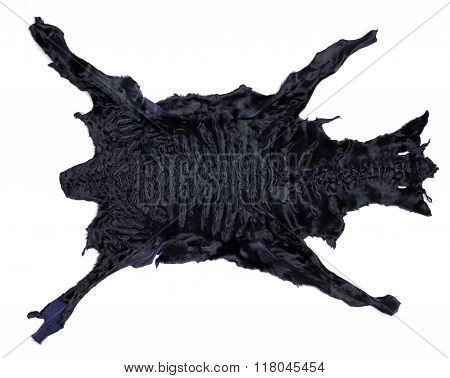 Black Astrakhan Skin Isolated On White Background