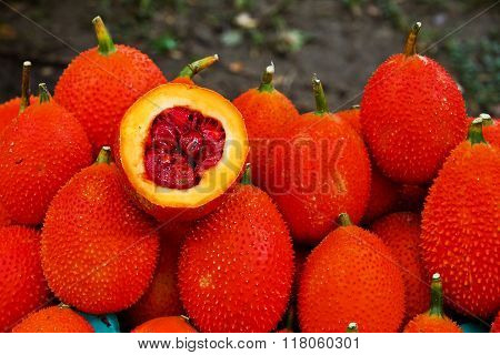 Gac fruit Baby Jackfruit Spiny Bitter Gourd Sweet Grourd or Cochinchin Gourd