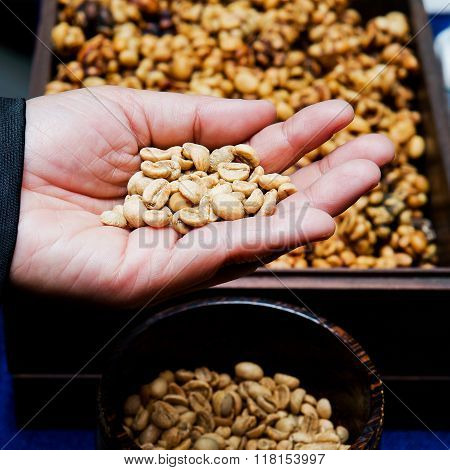 Coffee beans from the civet on hand.