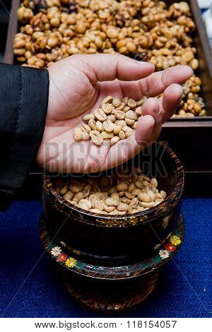 Coffee beans from the civet on hand.