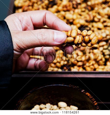 Coffee beans from the civet on hand.
