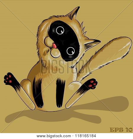 brown cat