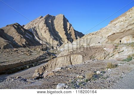Wild Place In The Negev Desert