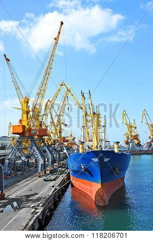 Bulk Cargo Ship Under Port Crane