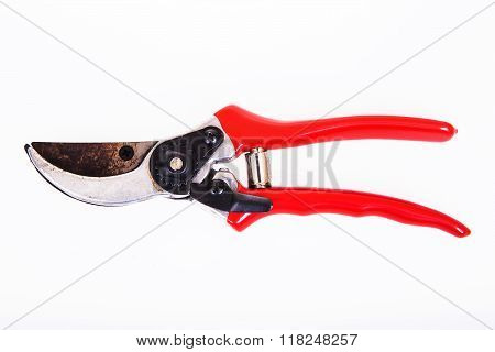 Red garden secateurs isolated on a white background