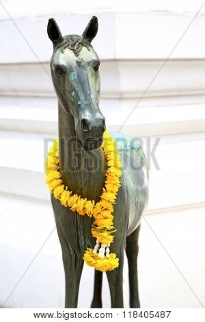 Horse  In The Temple Bangkok Asia  Yellow