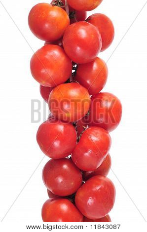 Pomodori di heirloom