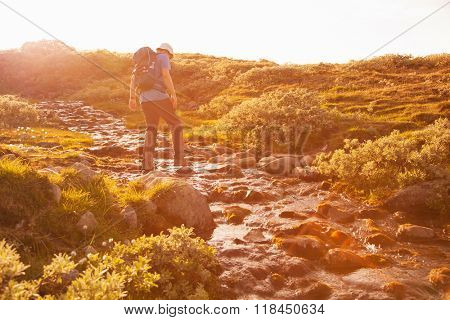 hiker with backpack traveling in Norway mountains Dovre