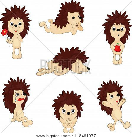 Cartoon Hedgehog Jumping, Sleeping, Crying, Pleading And Holding Apple And Flower