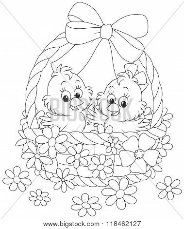 Easter basket with chicks
