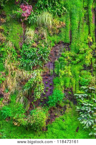 Green wall