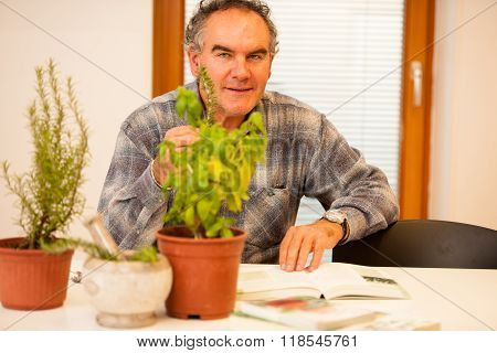 Workshop of knowing herbs touching and smelling basil and thym. Intergenerational transfer of knowledge.