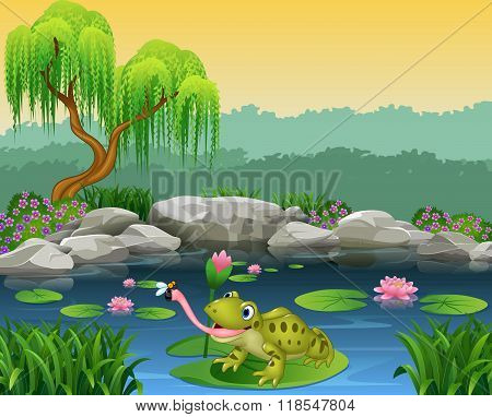 Cartoon frog catching fly on the lily water