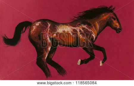 Beautiful running horse.