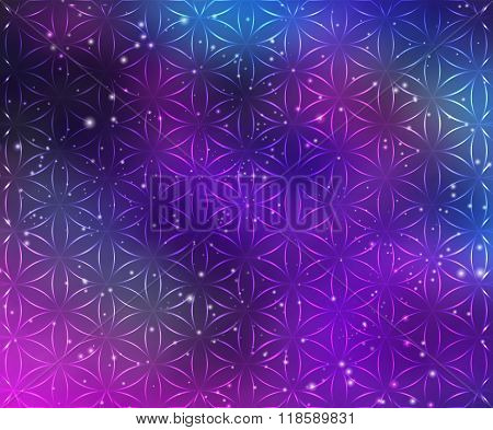beautiful card vector