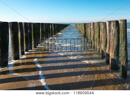 Rows Of North Sea Breakwaters At Low Tide