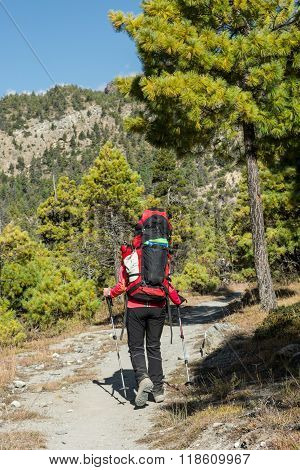 Yount femela trekker on her way through mountain forest.