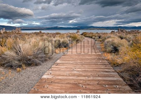 Mono Lake