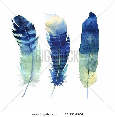 Hand drawn watercolor feather set. Boho style. illustration isol