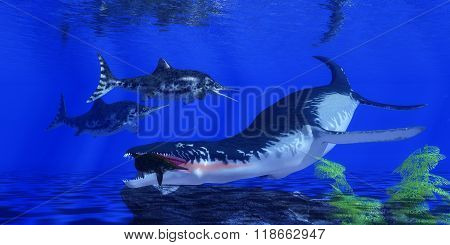 Liopleurodon Catches An Ichthyosaur