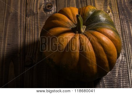 Beautiful Cucurbita