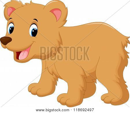 Cute baby bear cartoon