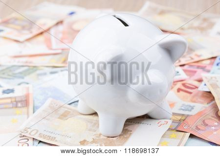 Close up of a white piggy on bank notes