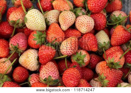 Fresh Ripe Strawberry On Background Texture.