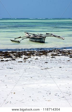 In    Lagoon Relax  Of Zanzibar  Africa Coastline Boat Pirague