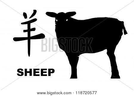 Chinese Year Of The Sheep