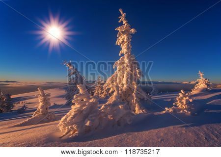 Fantastic orange evening landscape glowing by sunlight. Dramatic wintry scene with snowy trees. Kukul ridge, Carpathians, Ukraine, Europe. Merry Christmas!