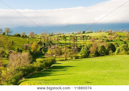 ใน Dales ยอร์คเชียร์