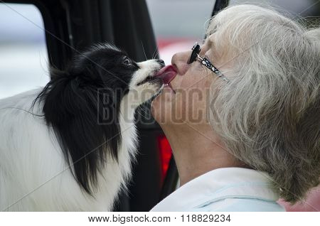 Dog licking its owner