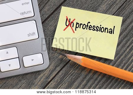 concept of professional