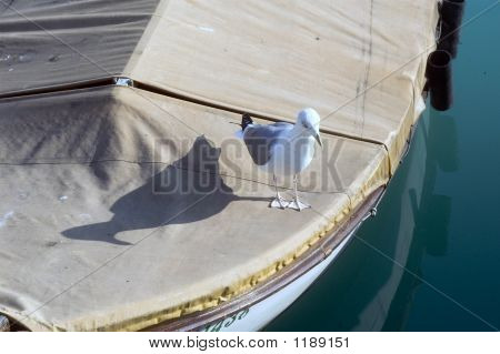 Båd og Sea Gull