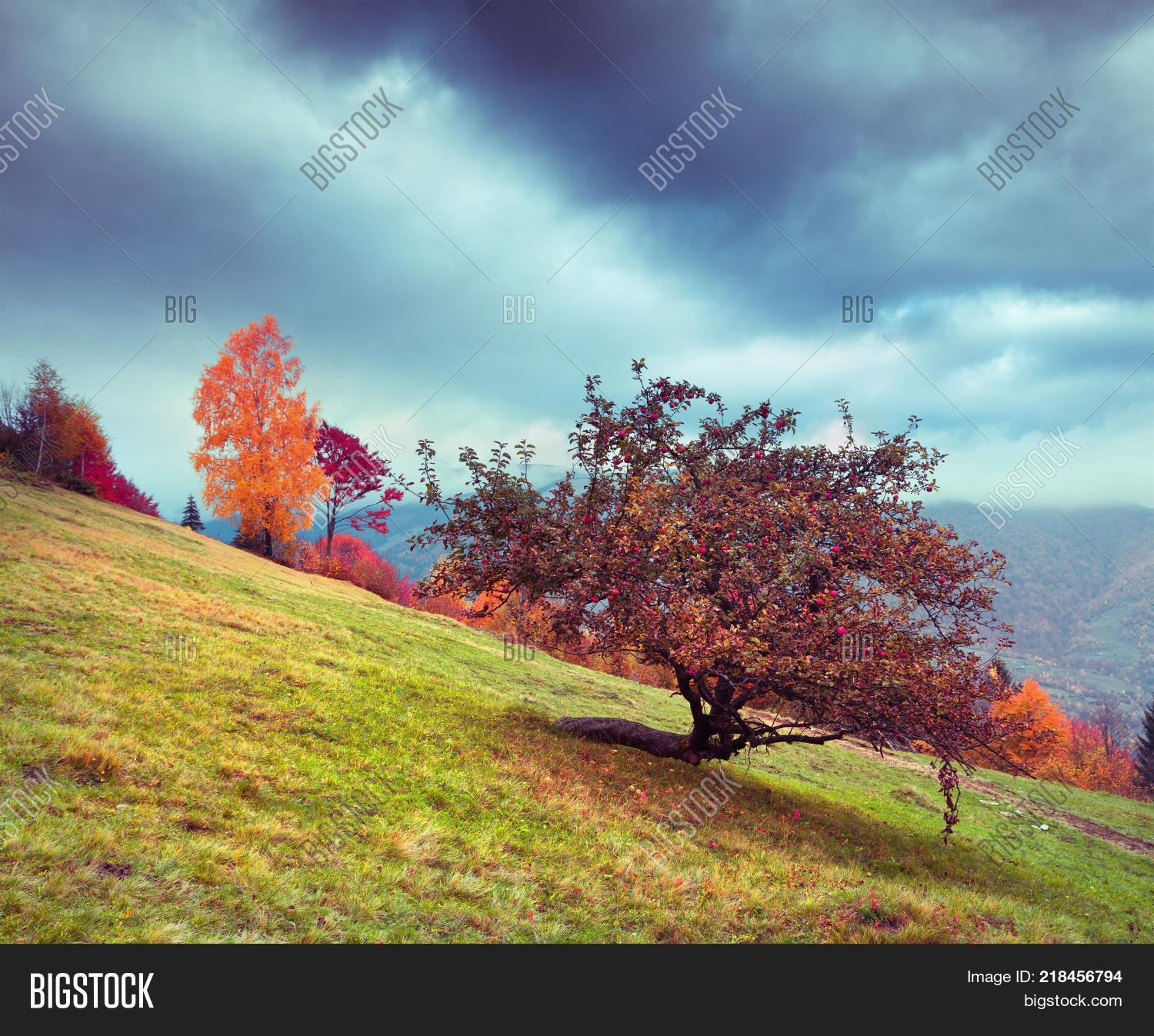 Colorful Rural Scenes Colorful Rural Scene Image & Photo (Free Trial) | Bigstock