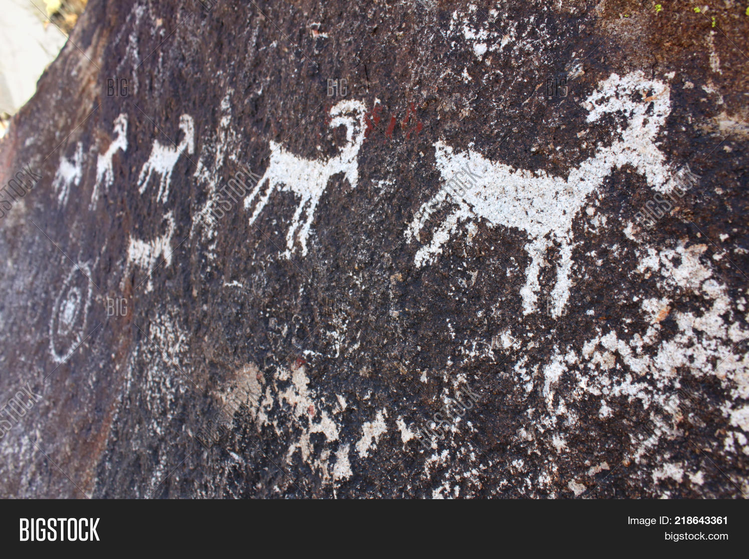 Series Goat Image & Photo (Free Trial) | Bigstock