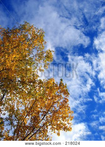 Sites automne