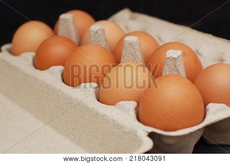 Close up of Chicken eggs, Close of