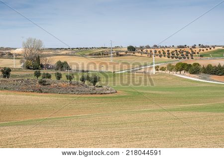 Agricultural mosaic landscape in Toledo Province, Spain