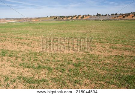 Agricultural mosaic landscape in Toledo Province, Spain