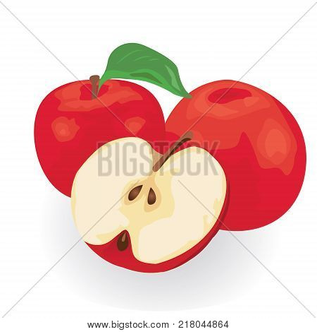 Red apple vector illustration on a white background