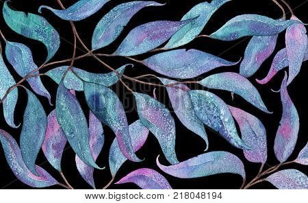 Abstract watercolor, watercolour pattern with tangled violet, pink and blue eucalyptus leaves and branches, hand painted illustration on black background. Tangled eucalyptus leaves on black background
