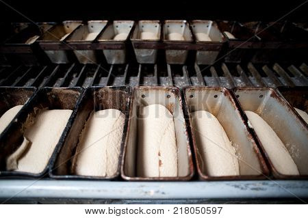 bread making factory fresh industry plant prepare